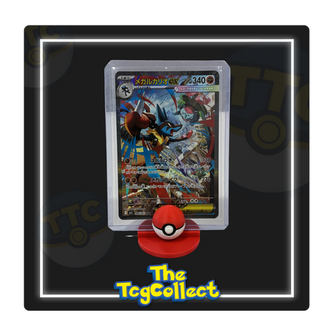 PokéStand | Toploader