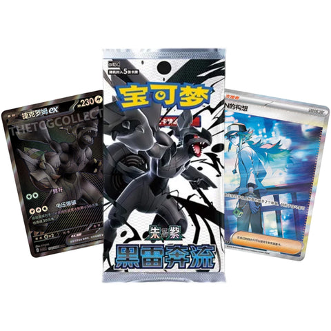 [PRE ORDER] Pokemon Black & White Puzzle Magnet Set - Black (Chinese)