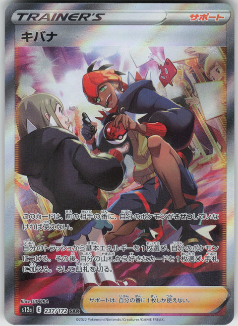 raihan pokemon card Raihan | Dex